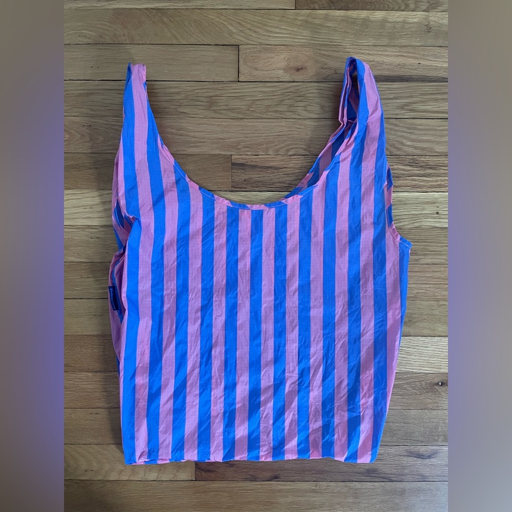 Standard Baggu Blue Pink Awning Stripe